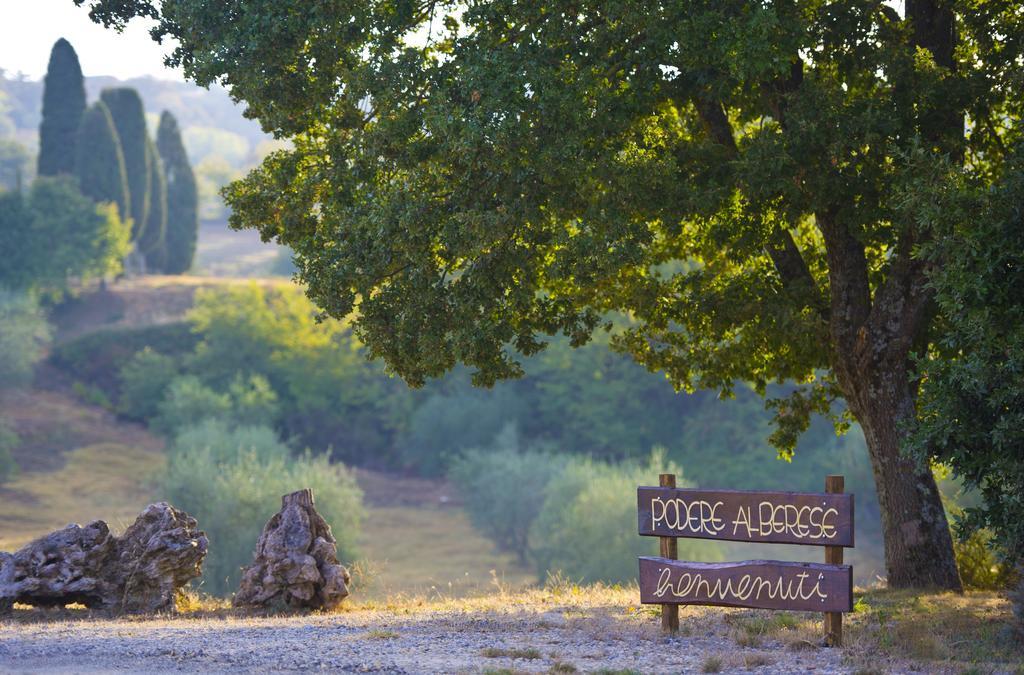 Gasthaus Agriturismo Podere Alberese Asciano Exterior foto