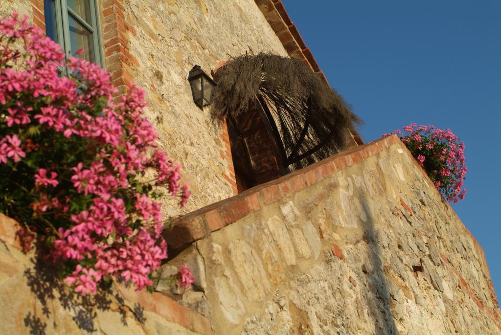 Gasthaus Agriturismo Podere Alberese Asciano Exterior foto